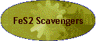FeS2 Scavengers