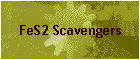 FeS2 Scavengers